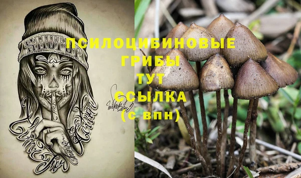 герыч Покровск